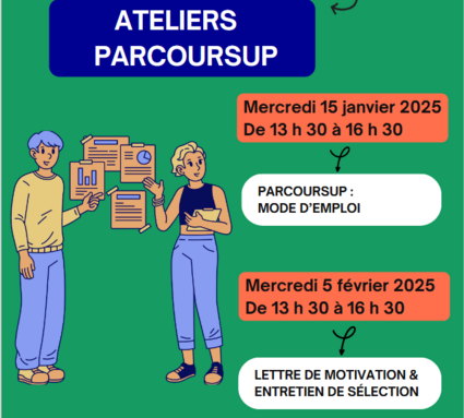 capture d’écran 2025-01-09 131306.png