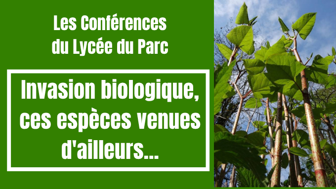 Conférence au lycée du Parc